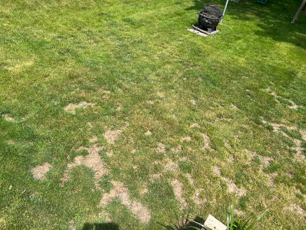 All Photos for Phillips Lawn Services in Ravenna, MI
