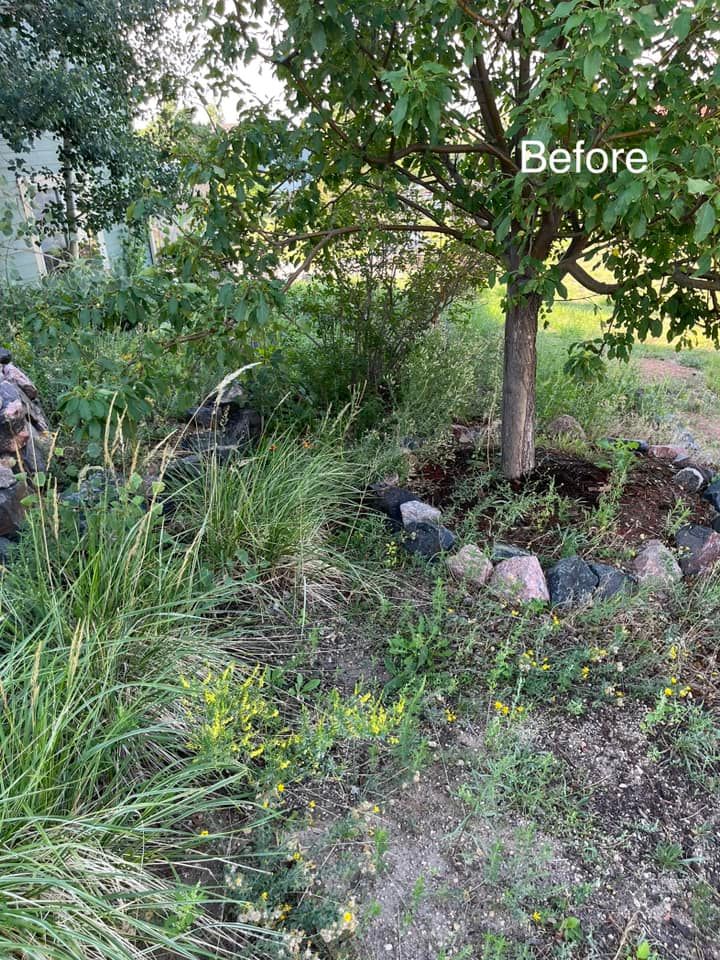 Fall and Spring Clean Up for Top of The Edge Landscape in Peyton,  CO