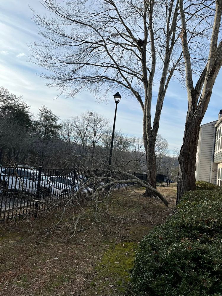 All Photos for High Tree Service & Landscaping in Atlanta, GA