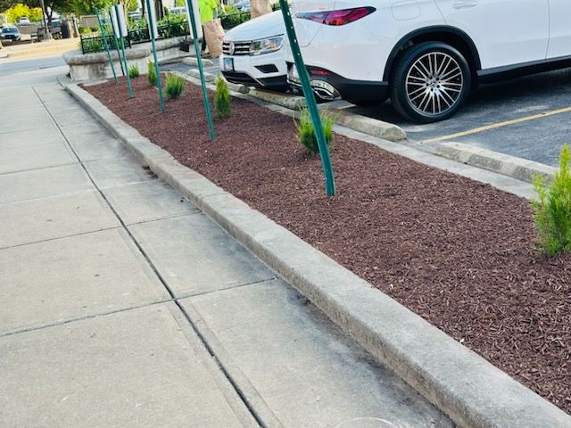 All Photos for Manny's Cleaning,Lawn Care & Snow Removal Services in Champaign, IL