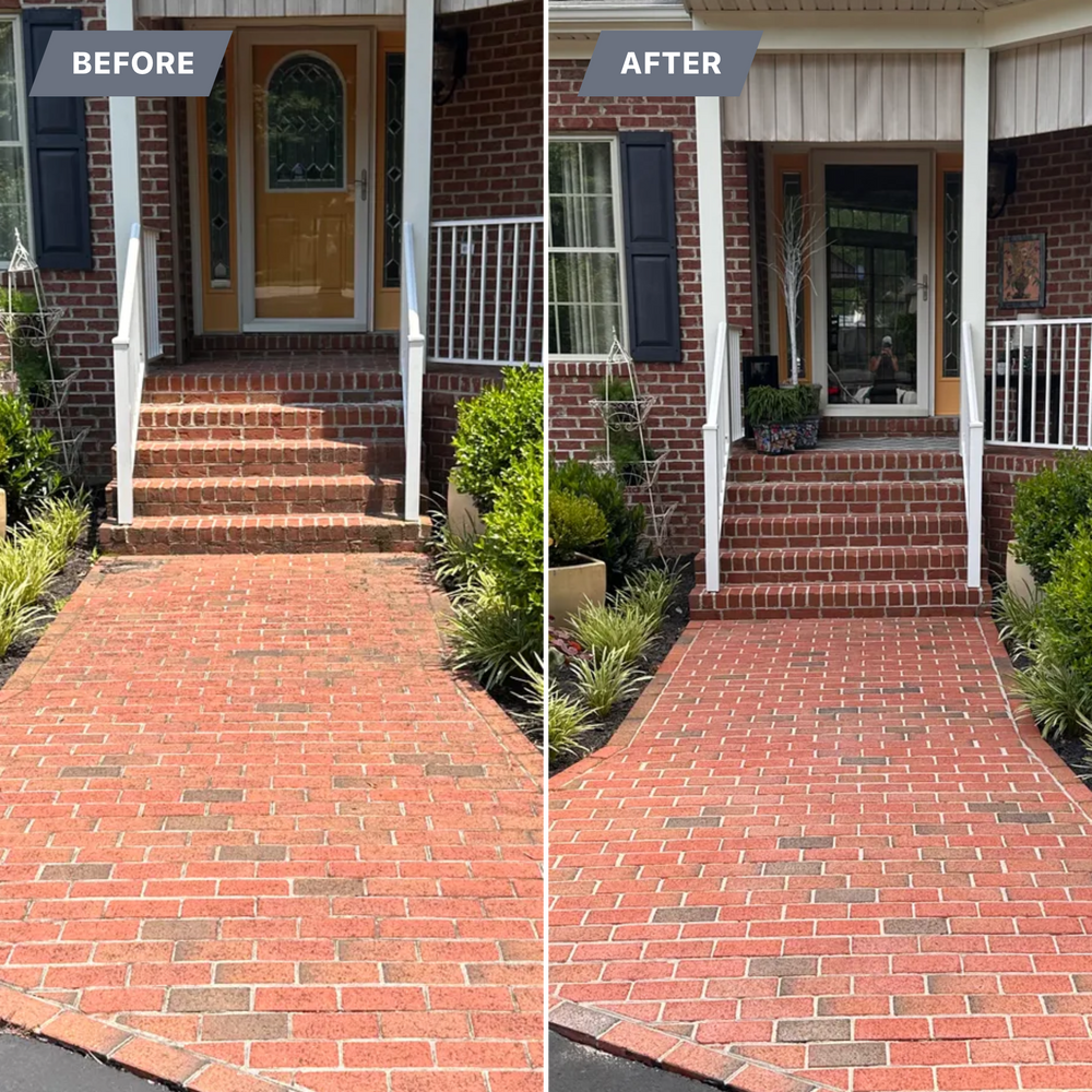 All Photos for LeafTide Solutions in Richmond, VA