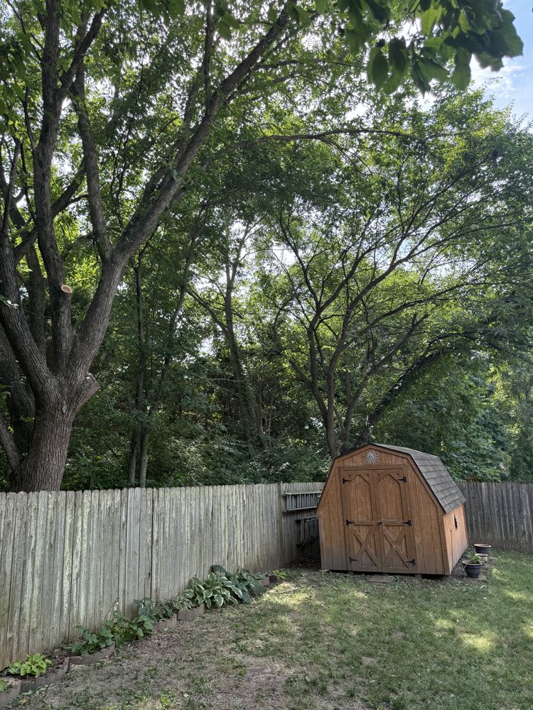 All Photos for Sky High Tree Service in Columbia, MO