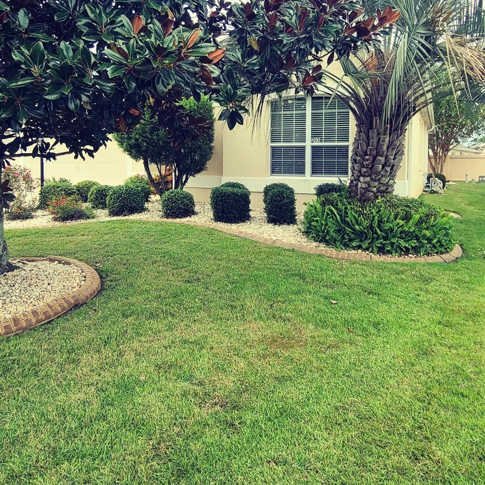 All Photos for TopNotch Landscaping Services  in The Villages, FL