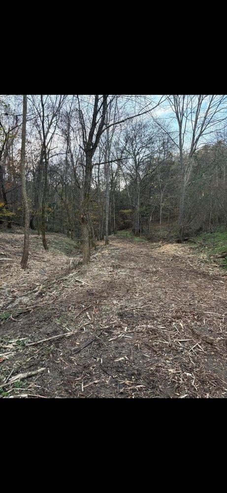 Land Clearing for Gregory Grass and Land in Lafayette, TN
