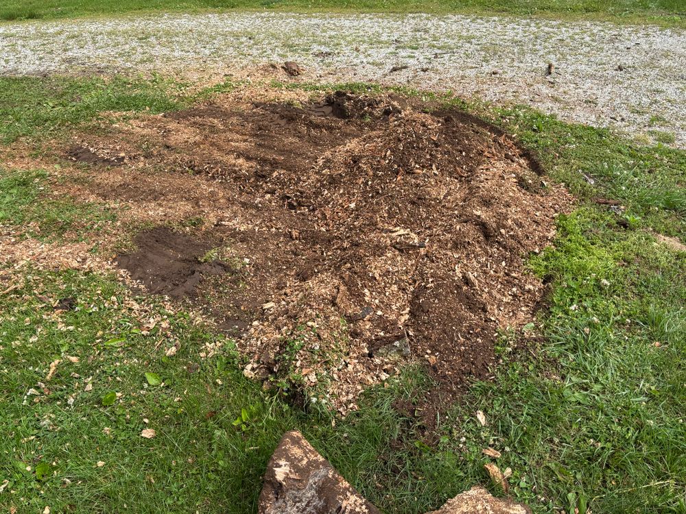 All Photos for Conrad's Stump Removal in Columbus, IN