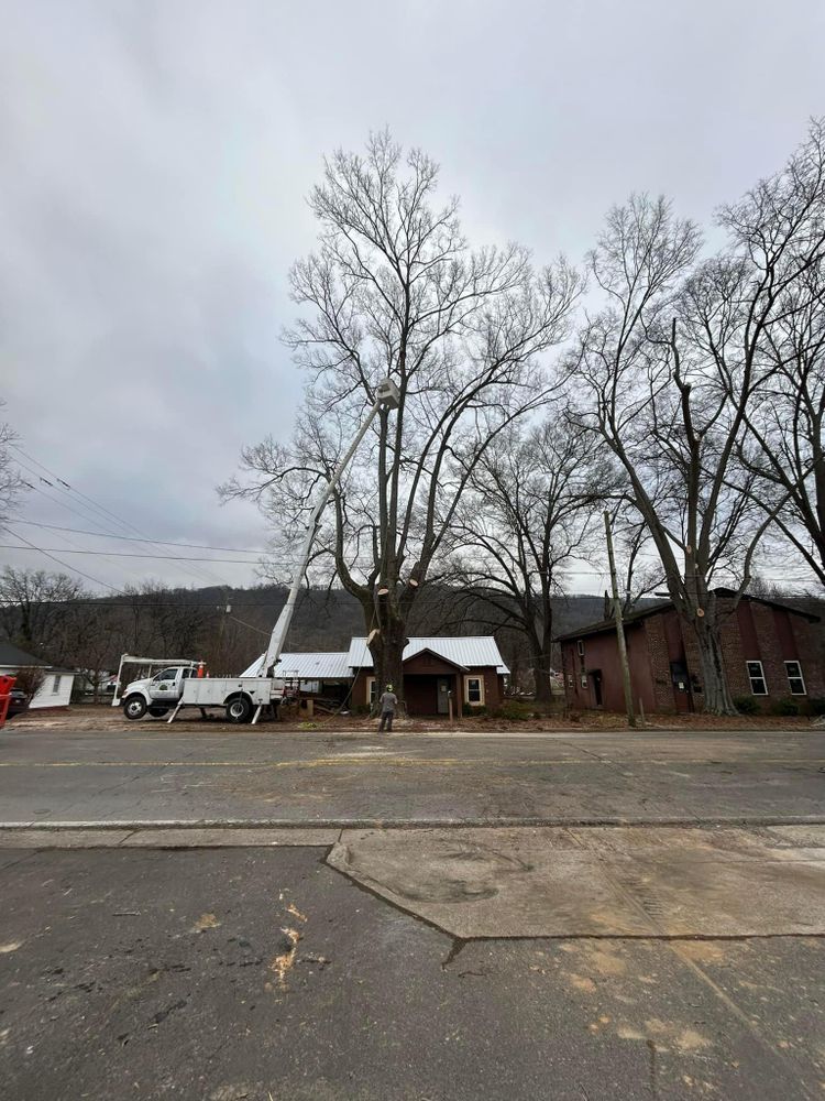 All Photos for Chipper's Tree Service  in Fort Payne, AL