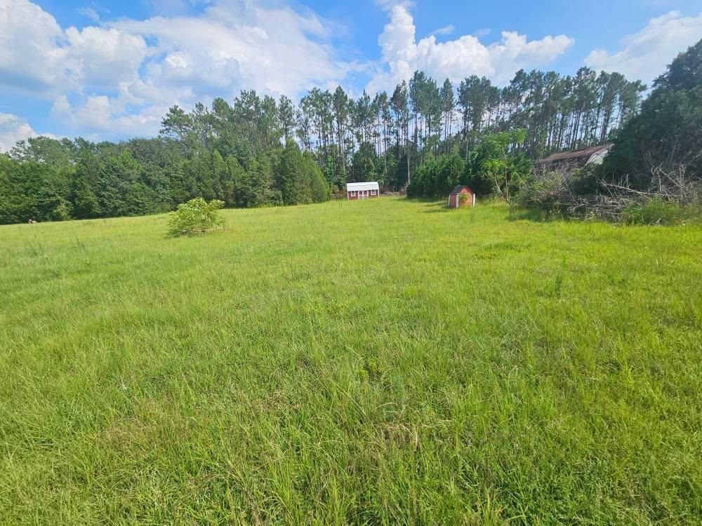 All Photos for Southern Shade Property Service in Ray City, GA