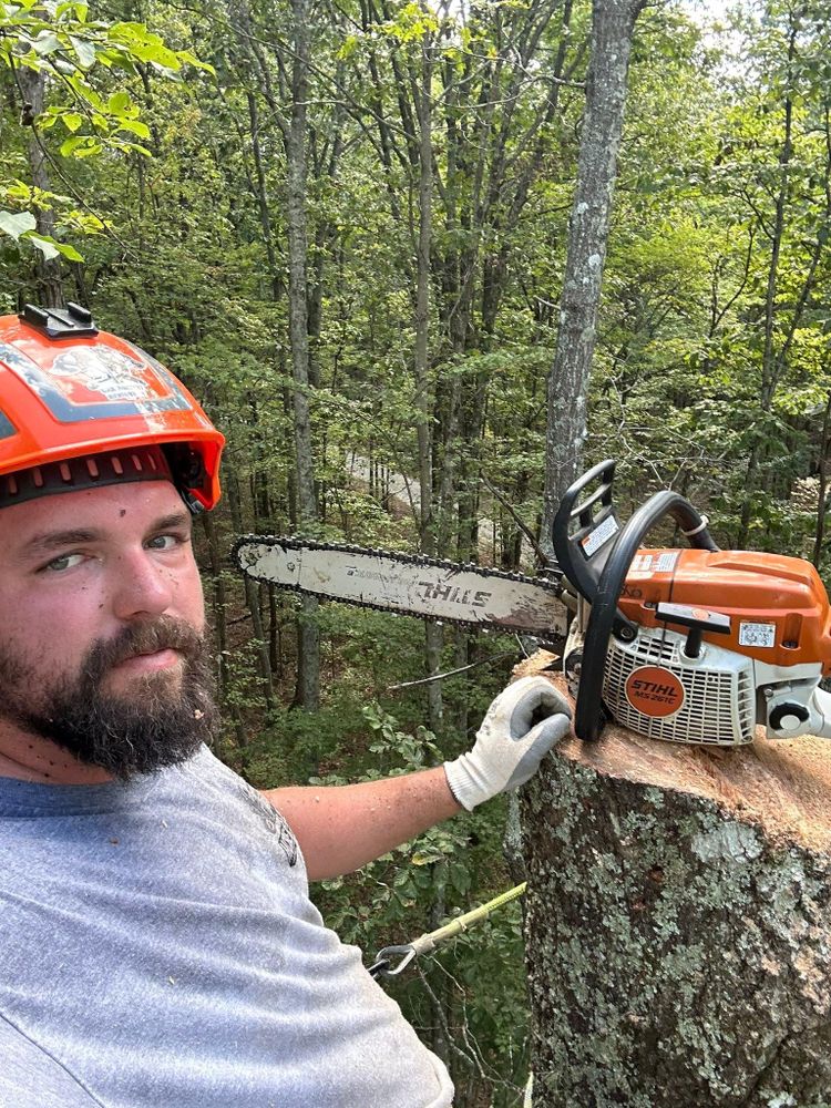 All Photos for McBee’s Tree Service in Sewanee, TN