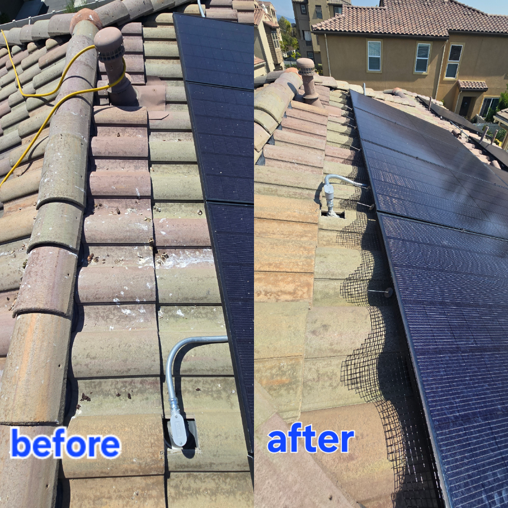Our Bird Proofing Solar Panels service in Corona, Ca offers a humane and effective solution to preventing birds from nesting under or damaging your solar panels, ensuring optimal energy production for your home. for The Window & Solar Ninjas in Corona, CA