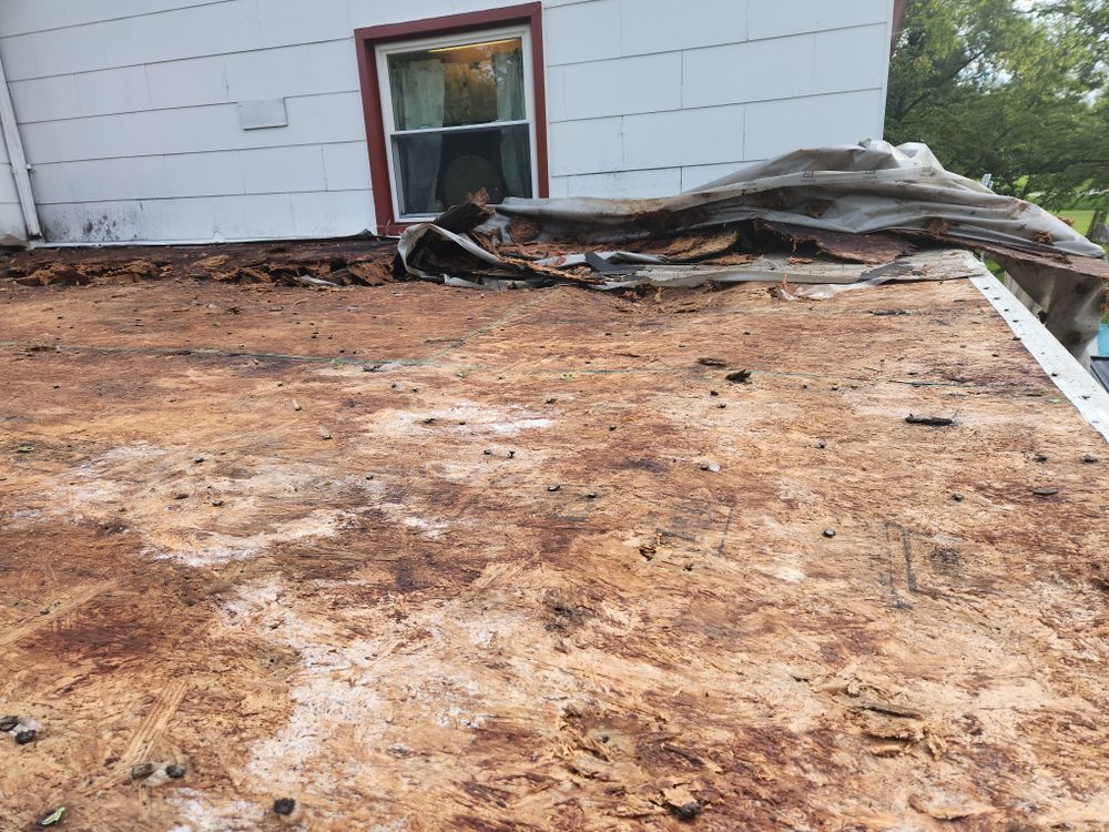 All Photos for Southern Atlantic NC in Concord, NC