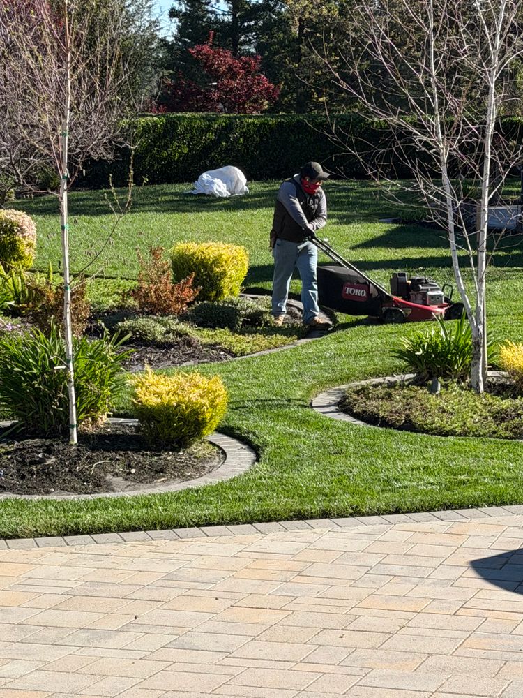 All Photos for CBA Landscaping in Hayward, CA