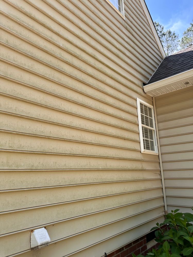 All Photos for LeafTide Solutions in Richmond, VA