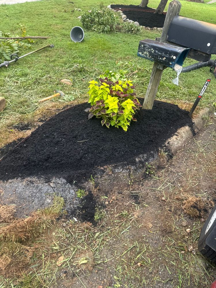 All Photos for R&M Property Maintenance in White Pine, TN