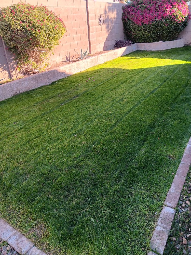 All Photos for Family Landscaping in Phoenix, AZ