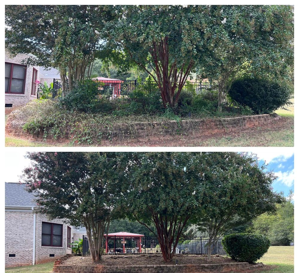 Landscaping for Elite Landscaping LLC in Anderson, SC