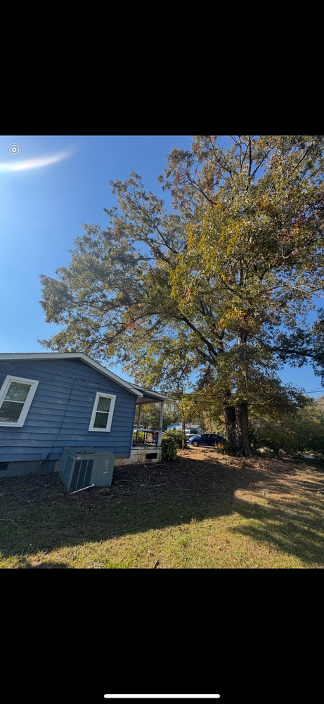 All Photos for Thin Green Line Landscaping & More in Laurens, SC