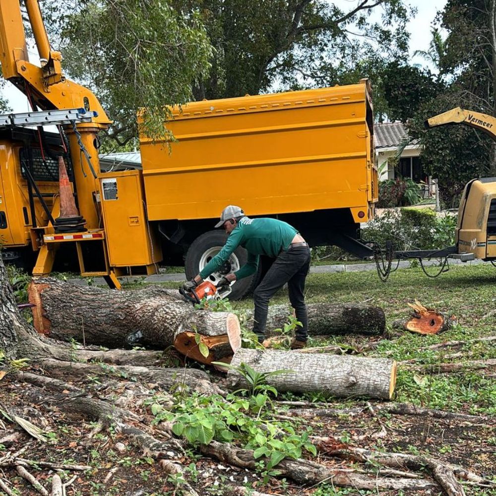 Our Tree Removal service safely removes hazardous, damaged, or unwanted trees using professional equipment and expert crews, protecting your home, landscape, and loved ones while leaving your property clean. for Nurry Tree Services in Miami, FL