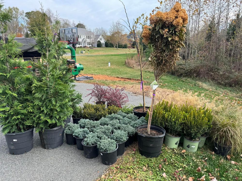 All Photos for NonStop Landscaping in Harrisonburg, VA