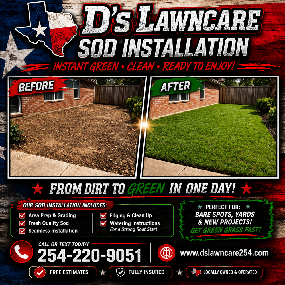 Sod installation for D’s Lawncare in Killeen, TX