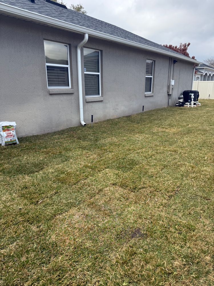 All Photos for Amerigrown Tree And Lawn in Apopka, FL