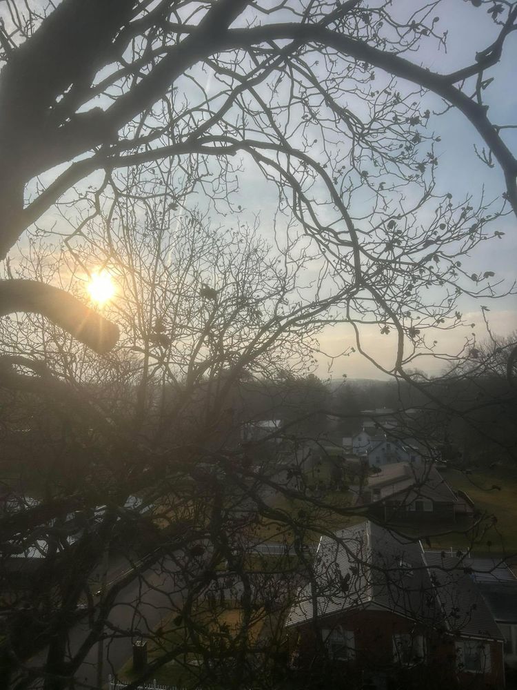 All Photos for McBee’s Tree Service in Sewanee, TN