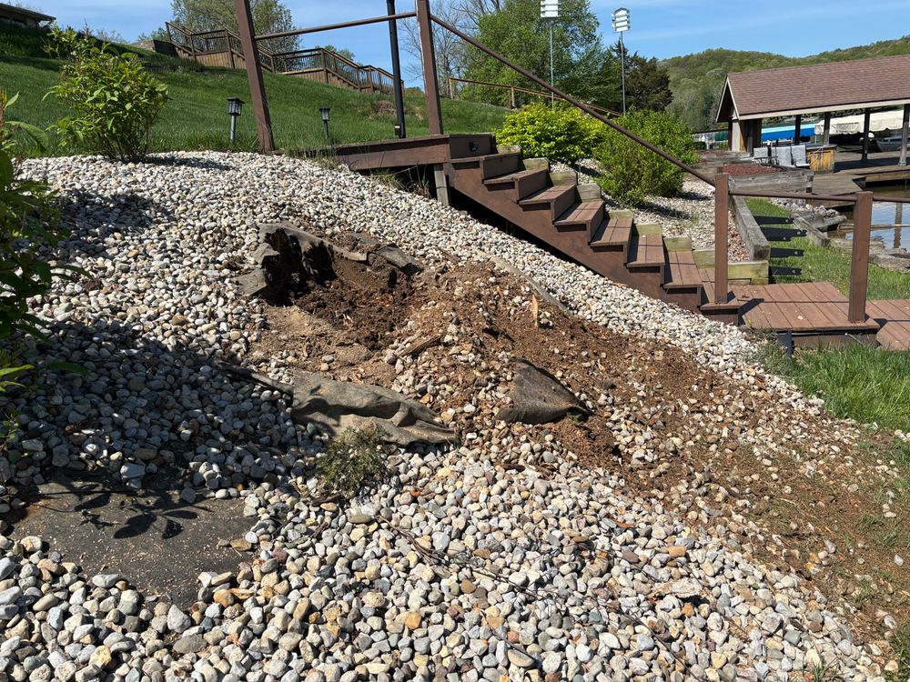 All Photos for Conrad's Stump Removal in Columbus, IN