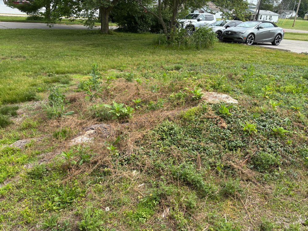 All Photos for Conrad's Stump Removal in Columbus, IN