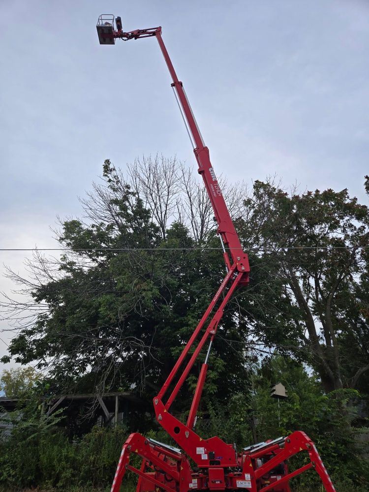 All Photos for Lawn Ranger Yard And Tree Service LLC in Ottumwa, IA