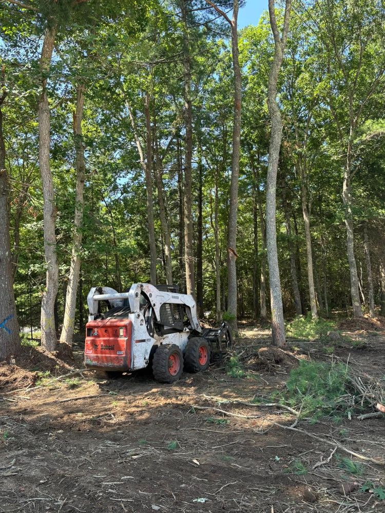 All Photos for Dwights Tree Service LLC in Middleborough, MA
