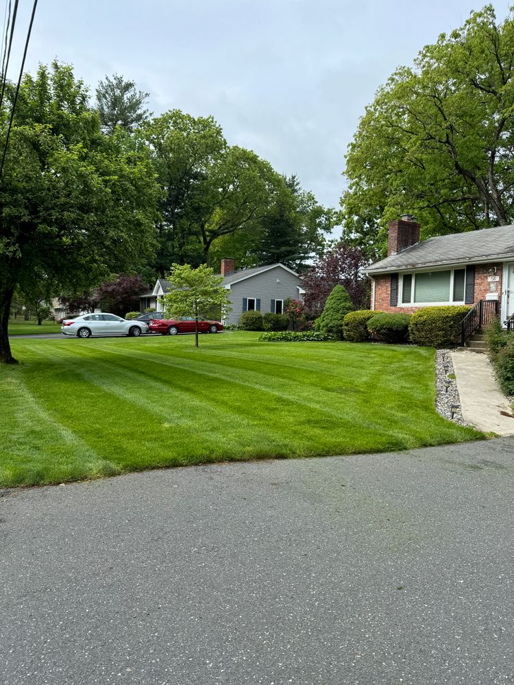 All Photos for Adams Landscaping in Springfield, MA