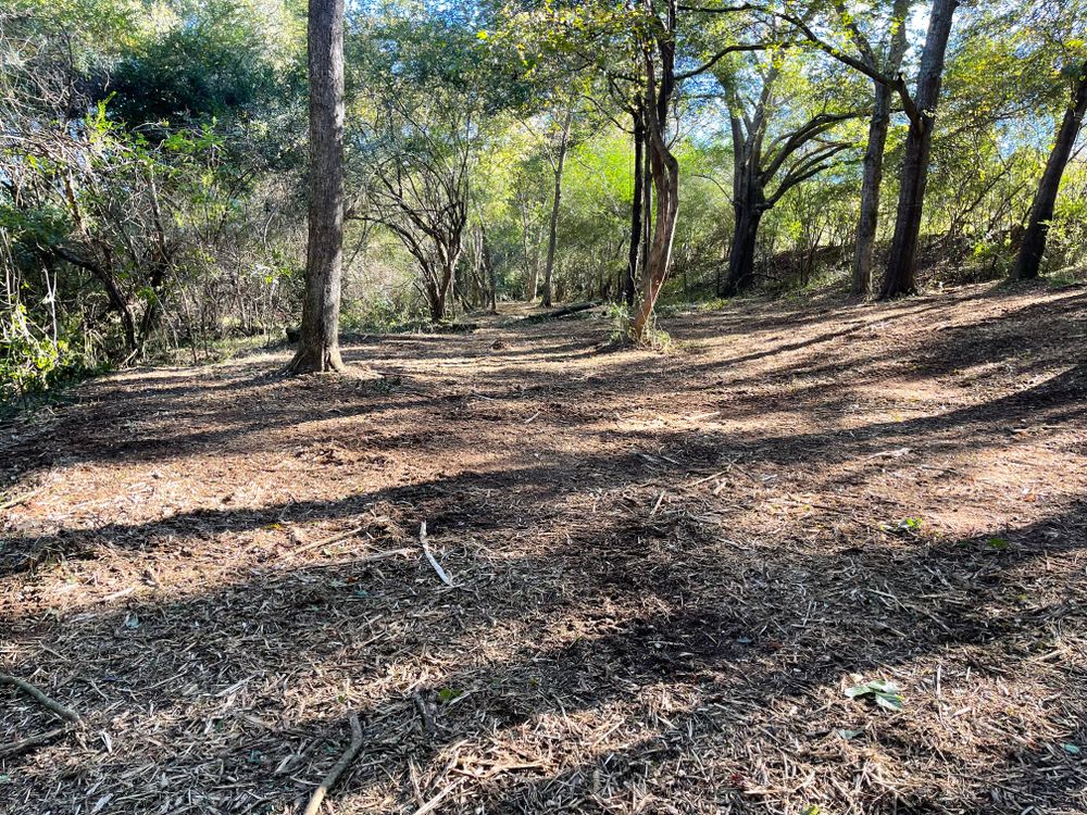 All Photos for KLNAX Enterprises in Newton County, GA