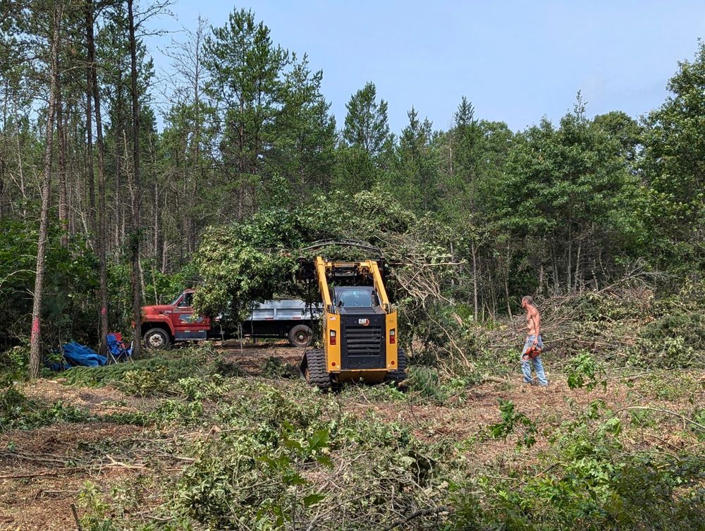Tree Removal for A.M. Forestry LLC in Nekoosa, WI