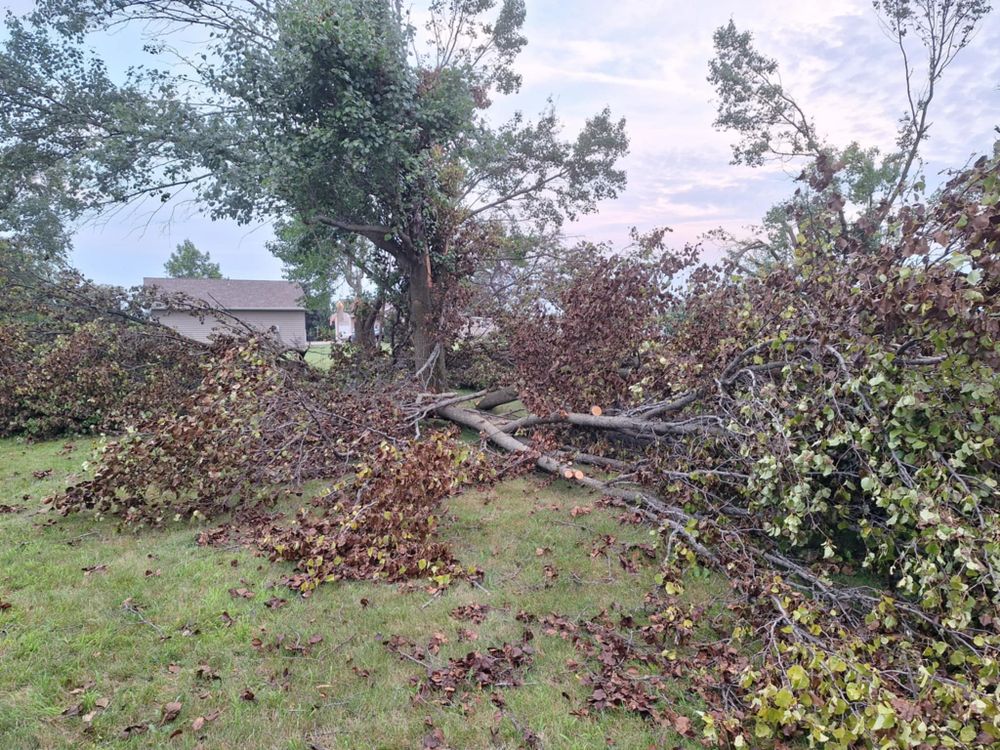Emergency Storm Work for Highborn Tree Service in Wheatfield, IN
