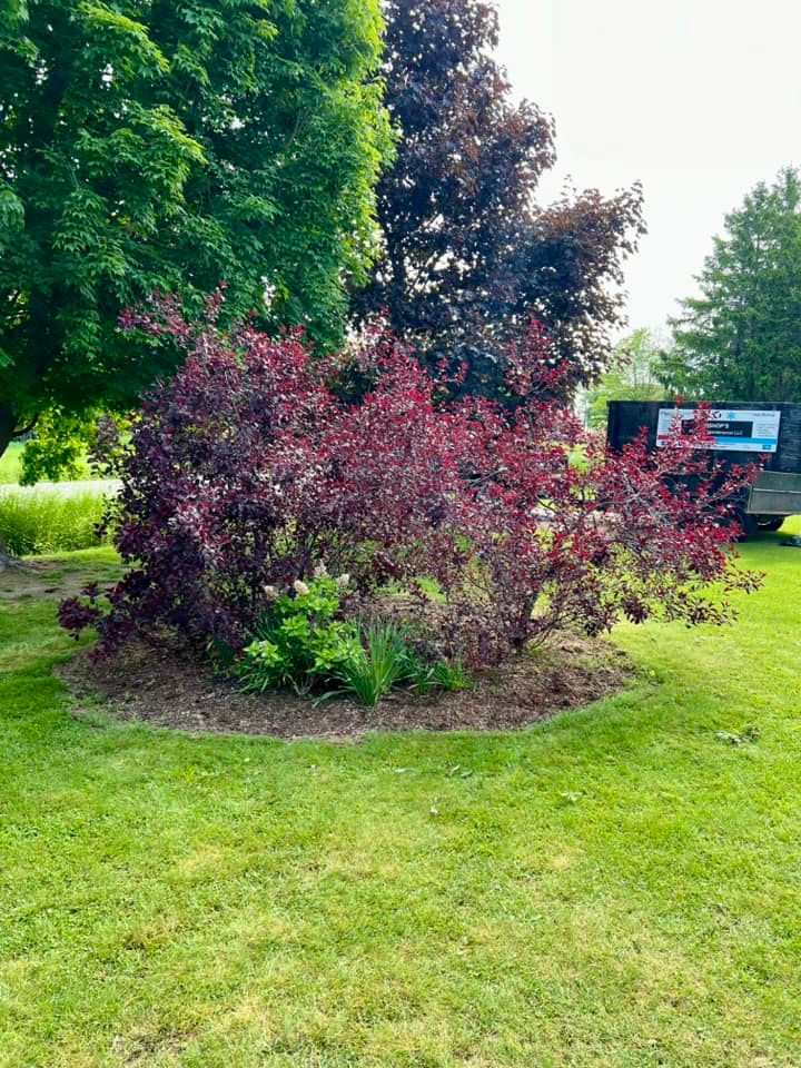 Landscaping for Bishop’s Property Maintenance in Franklin, VT