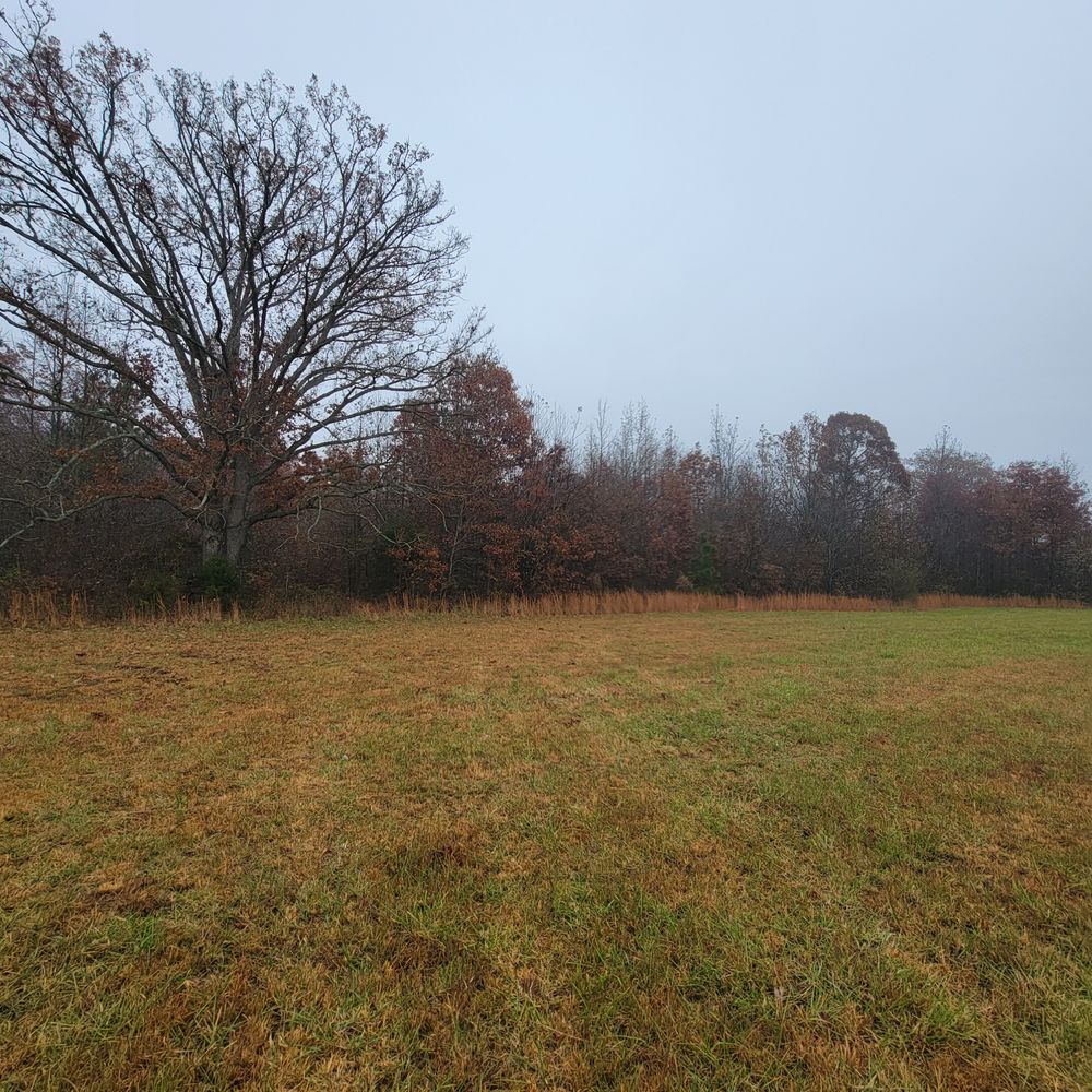 All Photos for Z's Land Management & Forestry Mulching in Smithville, TN