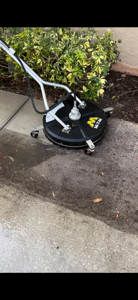 Enhance your home's beauty and value with our additional painting services. Discover expert color consultations, detailed surface preparation, and eco-friendly options tailored to transform your living space effortlessly. Contact us today! for Made Painting-Tampa in Tampa, FL