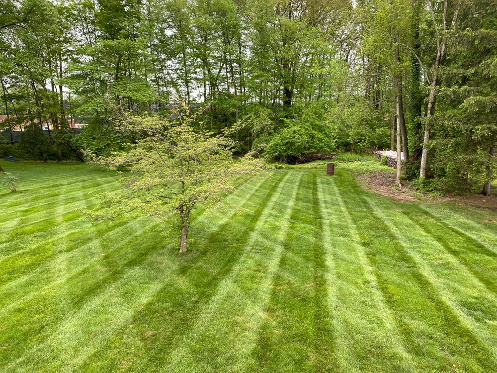 Mowing for Stevenson Property Maintenance in Cheshire, CT