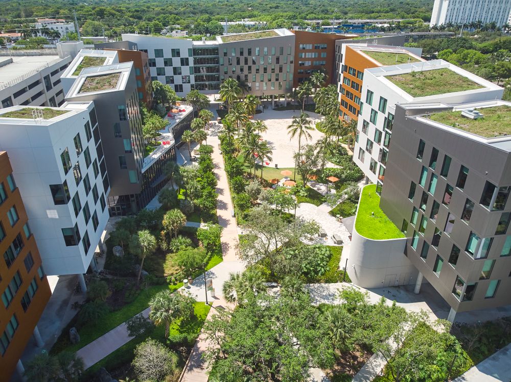 Landscape for Arazoza Brothers Corporation in Miami, FL