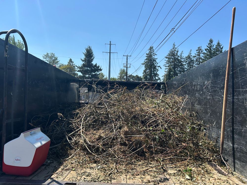 All Photos for Sol Junk Removal in Independence, OR