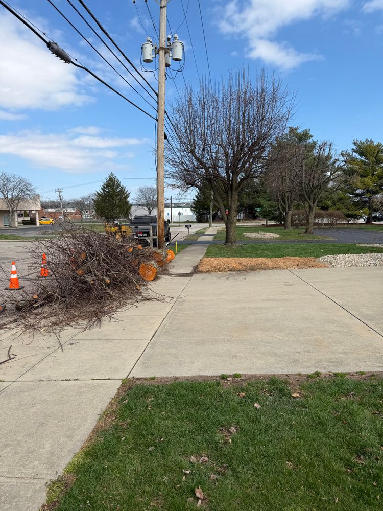 All Photos for Kadin’s Tree Service in North Vernon, IN