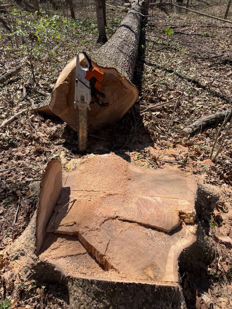 All Photos for Kadin’s Tree Service in North Vernon, IN