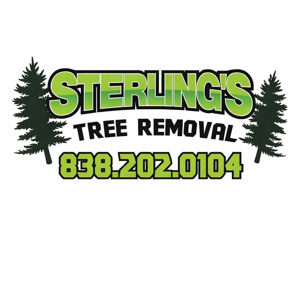 All Photos for Sterlings Tree Removal in Cobleskill, New York