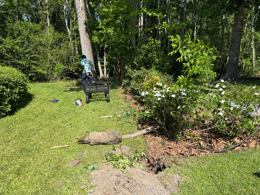All Photos for American Privacy Fencing & More in Statesboro, GA
