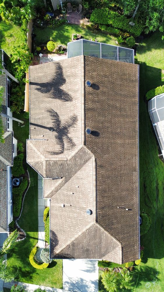 All Photos for Blue Stream Roof Cleaning & Pressure Washing in Tampa, FL