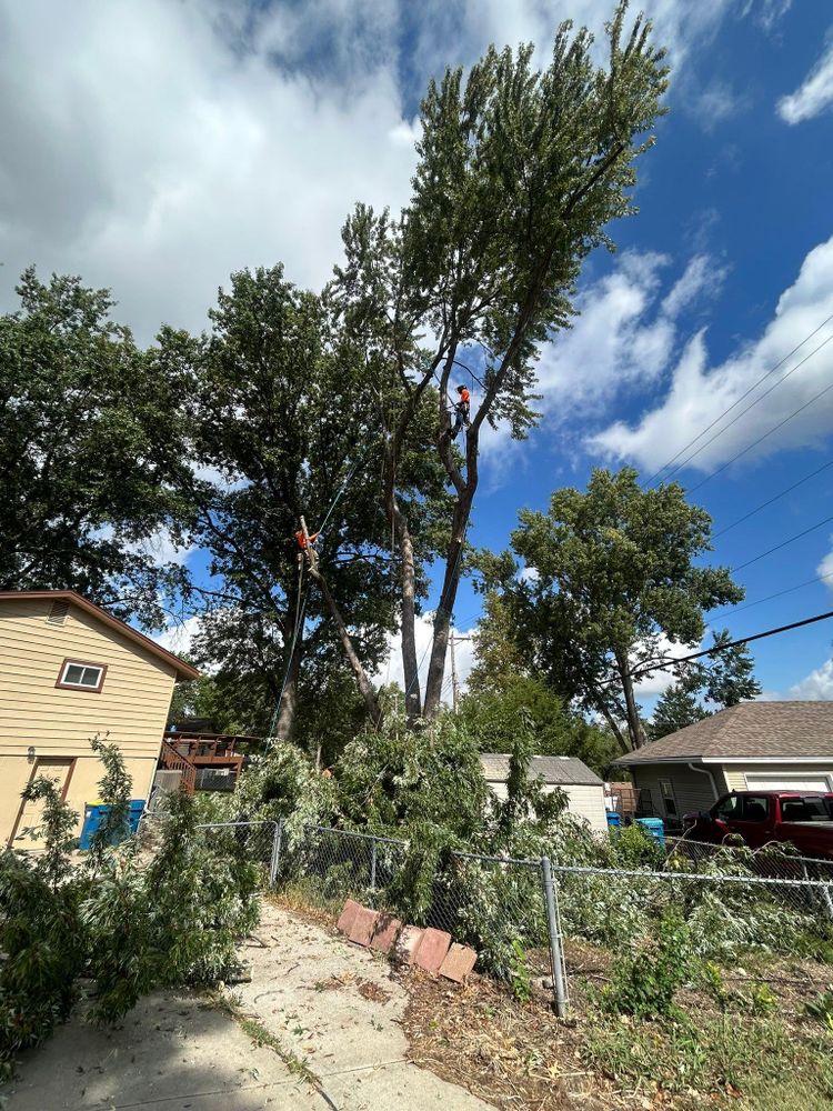 All Photos for Cross Family Tree Service in Kearney, MO