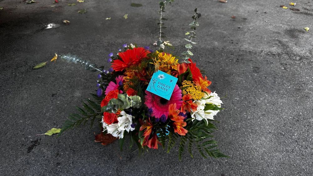 All Photos for The Dailey Daisy in Hardwick, VT