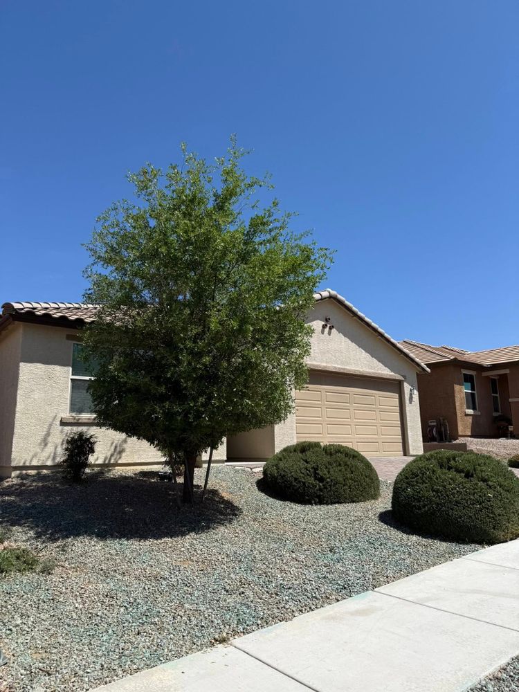 All Photos for LM Landscapes & Irrigation LLC Verified Account in Marana, AZ