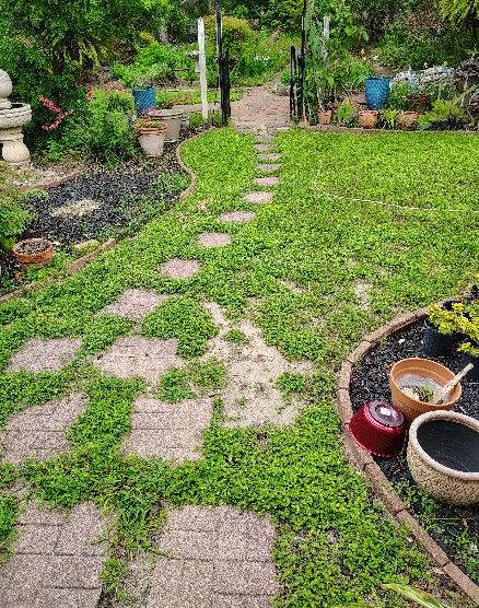 All Photos for Bad Axe Landscapes LLC in Bulverde, TX