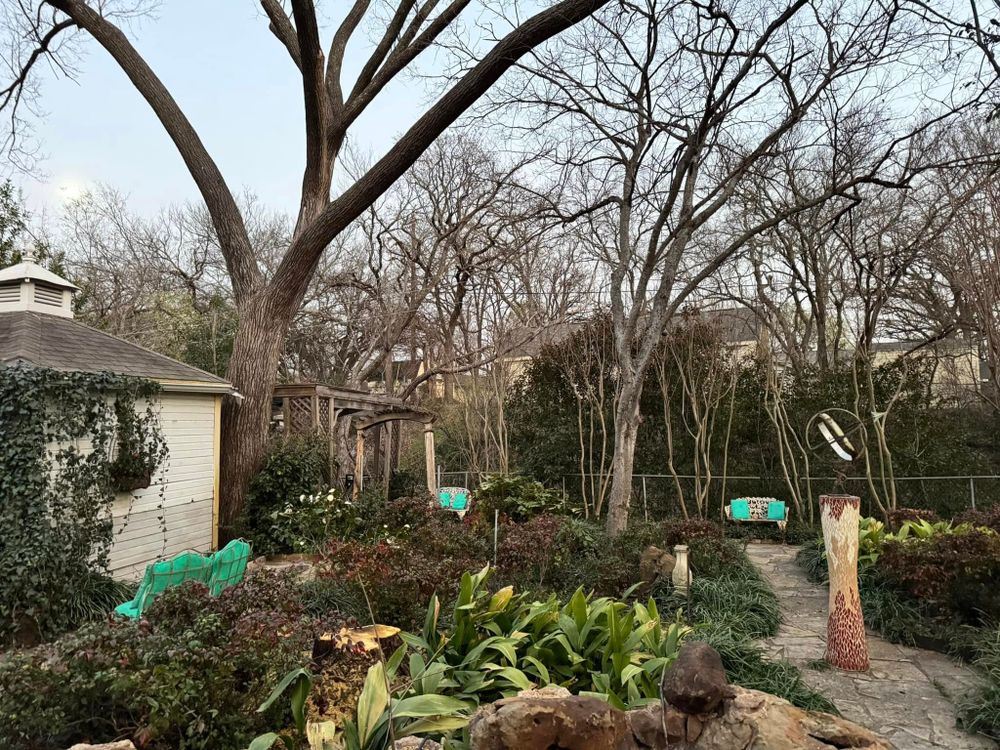All Photos for Year Round Trees & Concrete Inc. in Fort Worth, TX