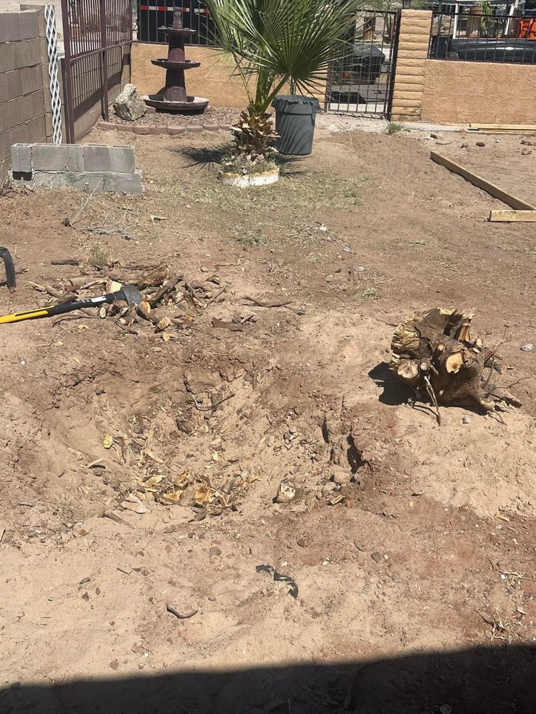 All Photos for Oliver L. Palm & Tree services in Yuma County, AZ